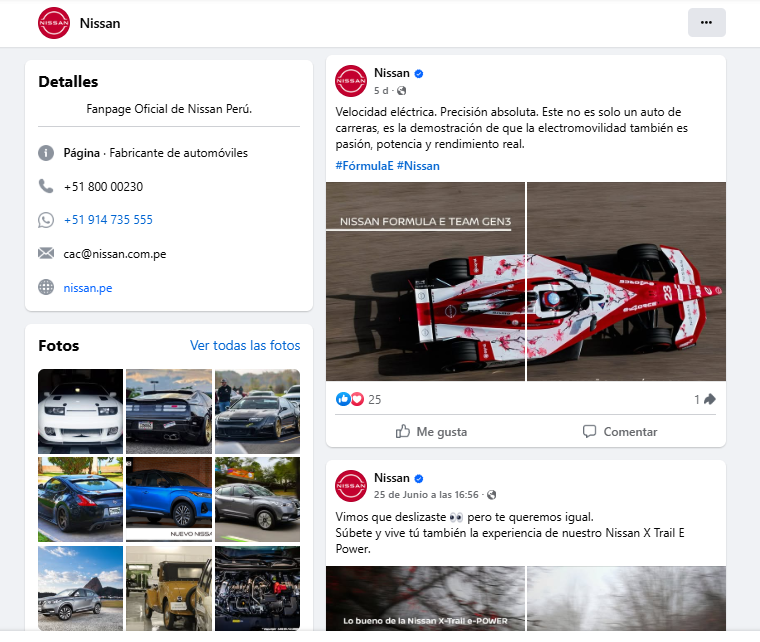 Proyecto Nissan Perú